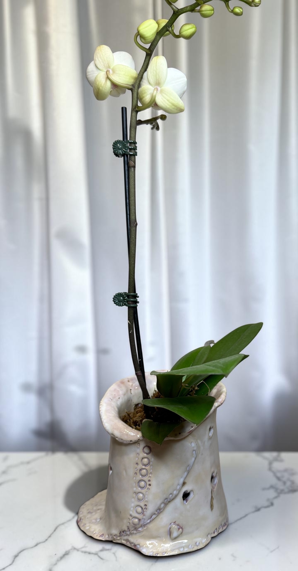 Wedding Bells, a bridal-gown form holding an orchid